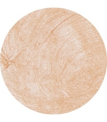 MAQUILLAJE CREMA PROTECTOR - CEDIB