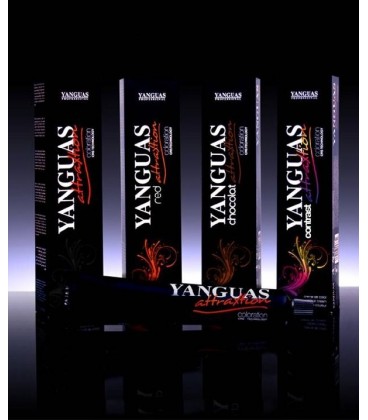 TINTE ATTRAXTION YANGUAS 100ml